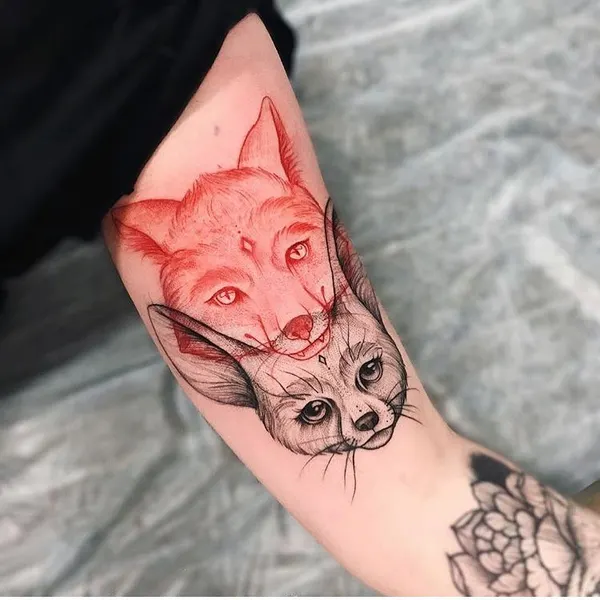 Animal, 여우