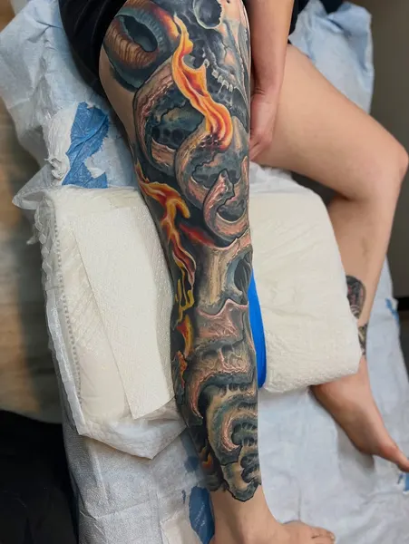 Dragon, Animal