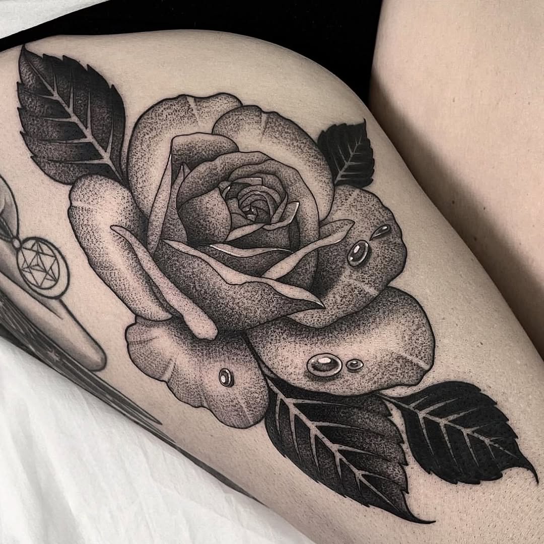 Flower, Rose