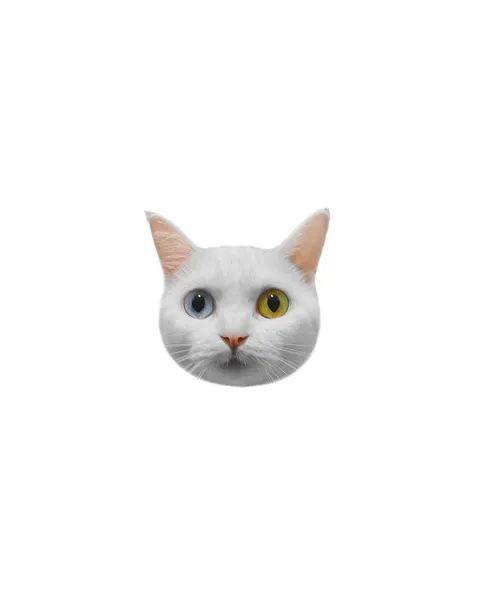 고양이, 여우 가면