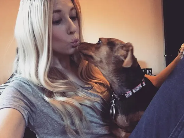 Animal