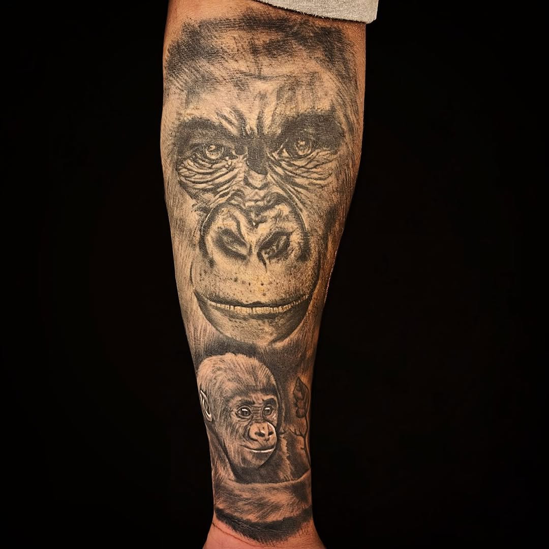 Tiger, Animal, 원숭이