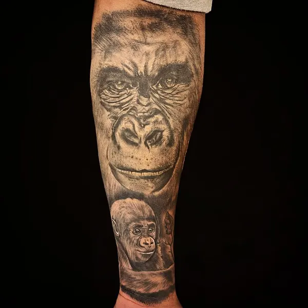 Tiger, Animal, 원숭이