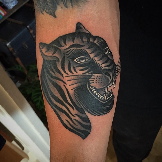Tiger, Animal