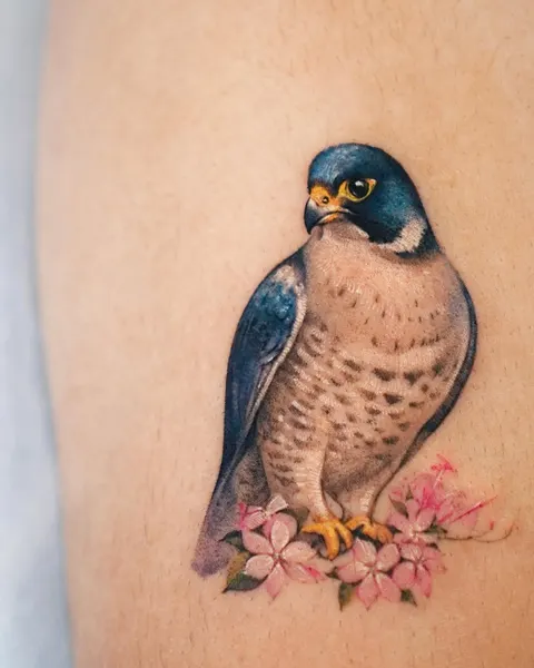 Animal, Nature