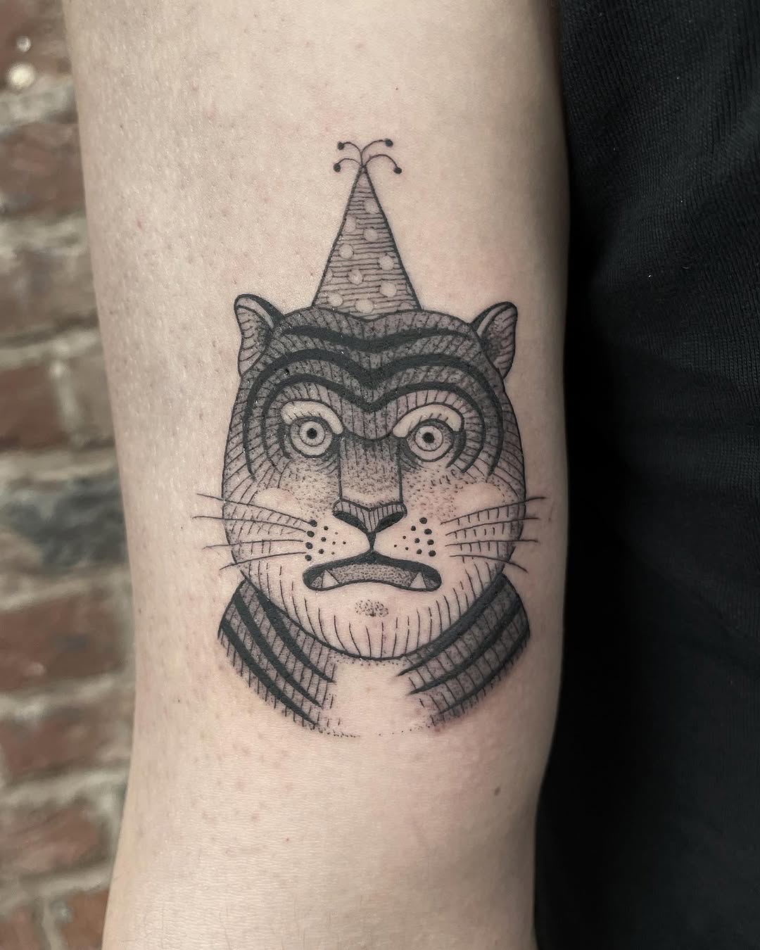 Tiger, Animal