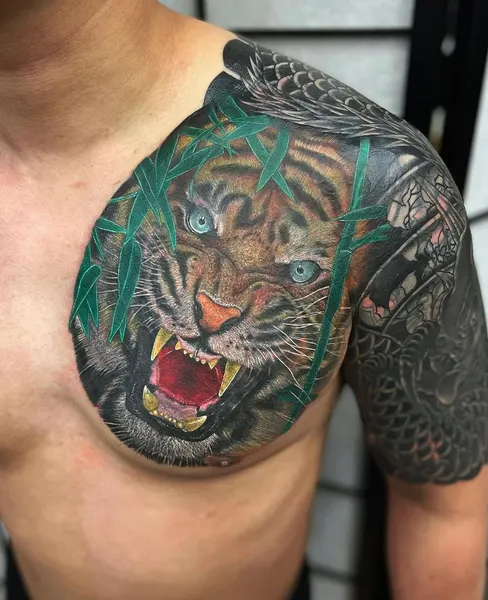 Tiger, 재규어, 일본 호랑이, 한국 호랑이