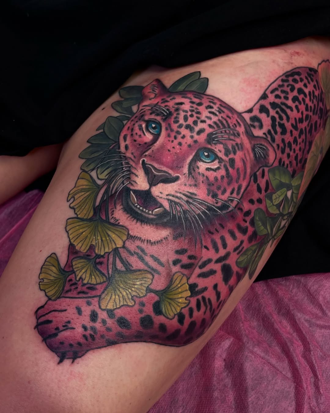 Animal, 표범, 재규어, 치타