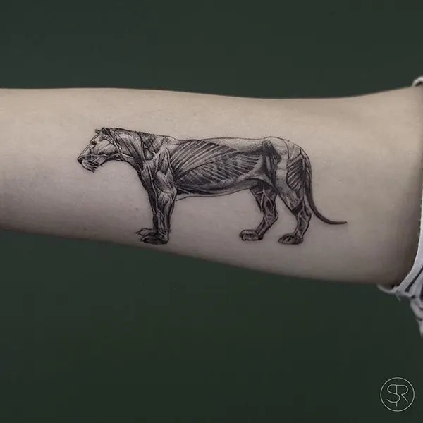 Animal, Tiger, Dragon, 염소, 말, 소, 양, 팬서, 황소, 멧돼지