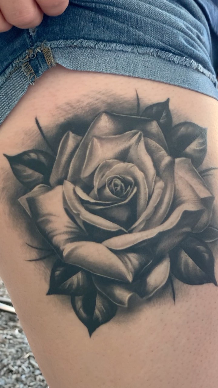 Flower, Rose, Nature