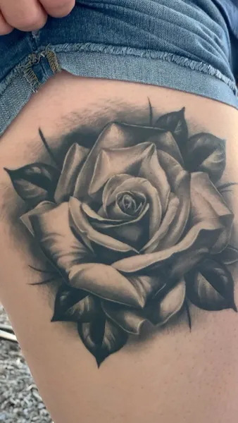 Flower, Rose, Nature