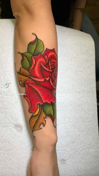 Flower, Rose