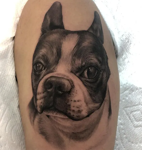 Animal