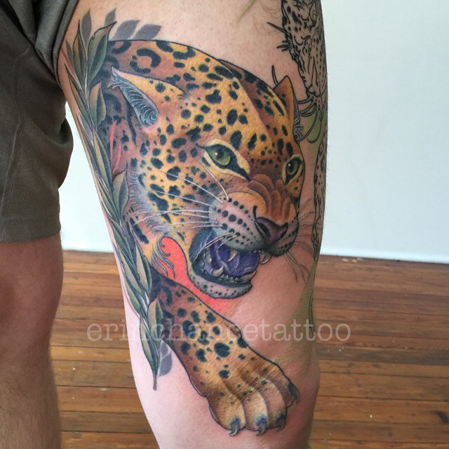 Animal, 표범, 재규어