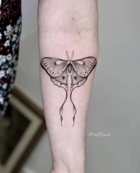 Animal, Nature, 나방