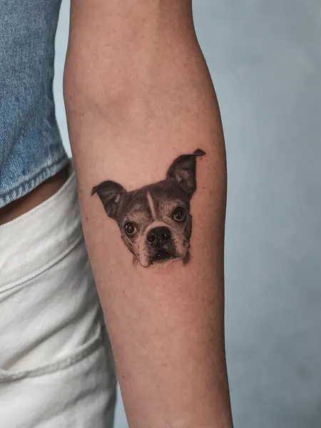 Animal