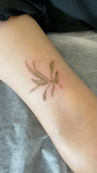 Flower, 풀, 올리브 가지, 단풍잎, 대나무