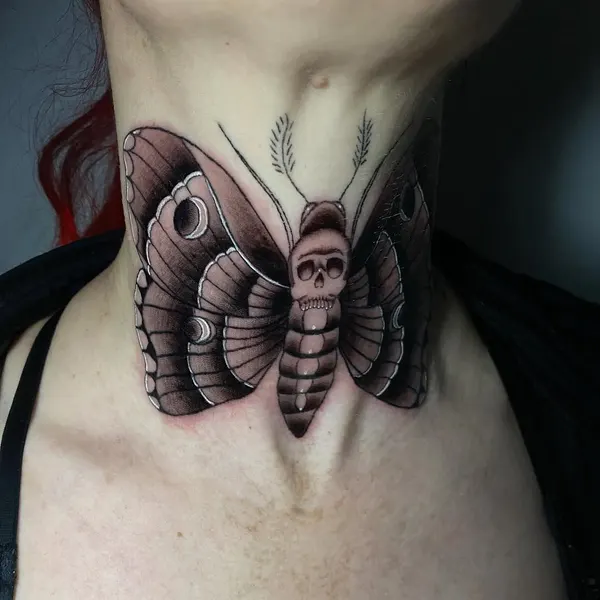 Nature, Animal, 매미, 나방