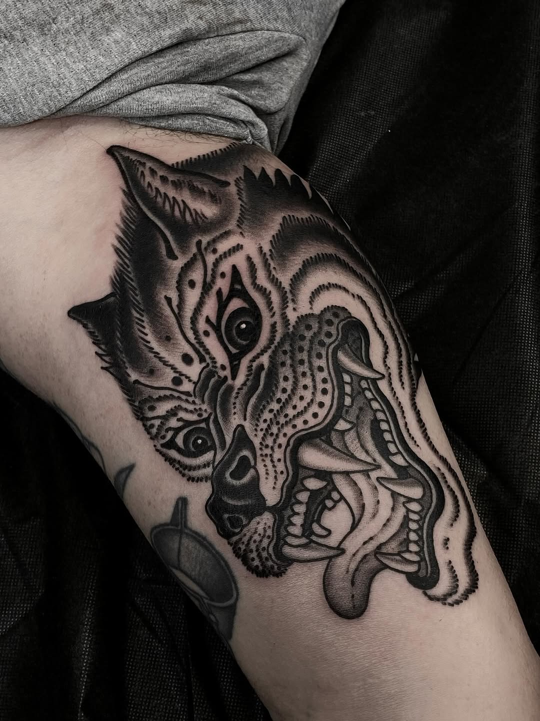 Tiger, Animal