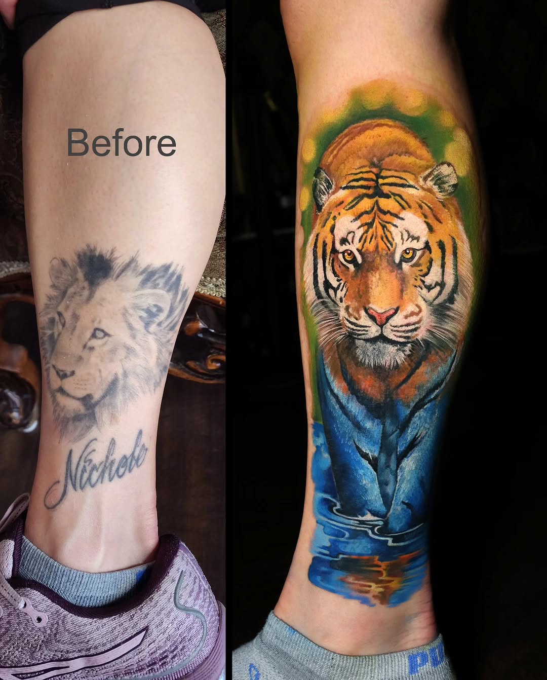 Tiger, 변화