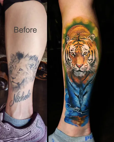 Tiger, 변화