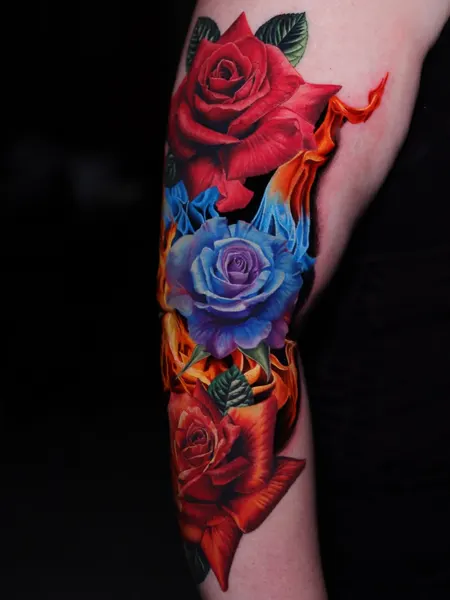 Flower, Rose