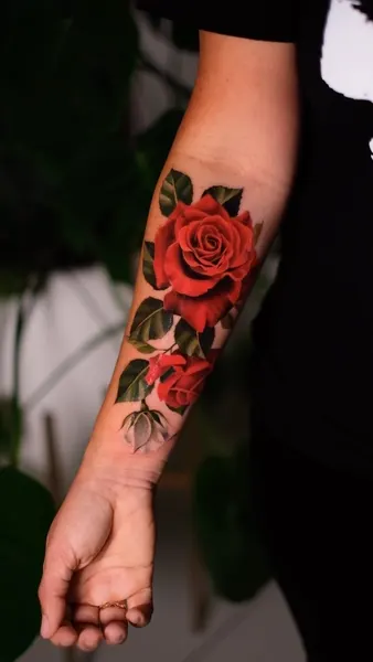 Flower, Rose