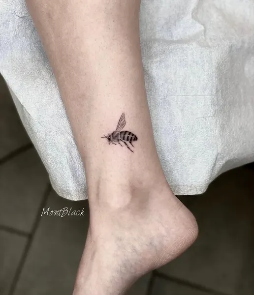 개미