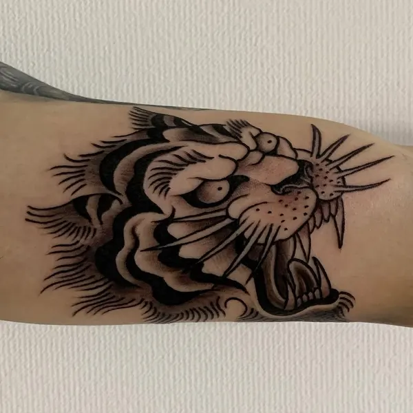 Tiger, Animal