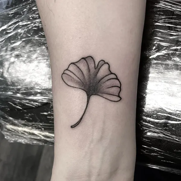 Nature, 허브