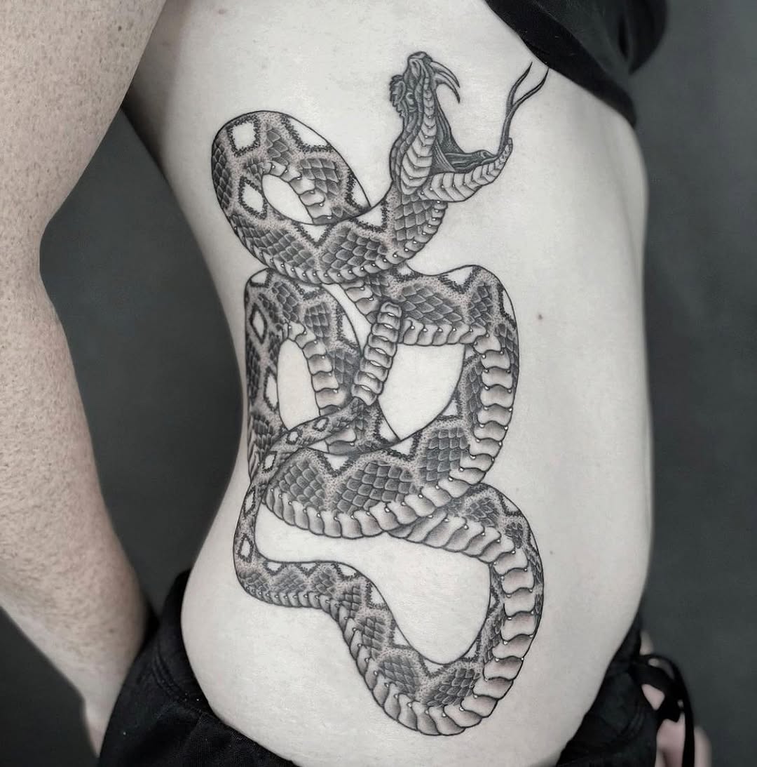Dragon, 전갈, Snake