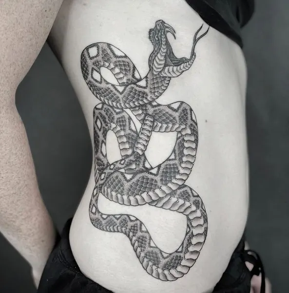 Dragon, 전갈, Snake