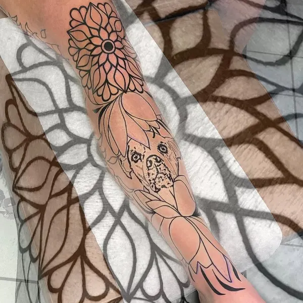 Flower, Rose