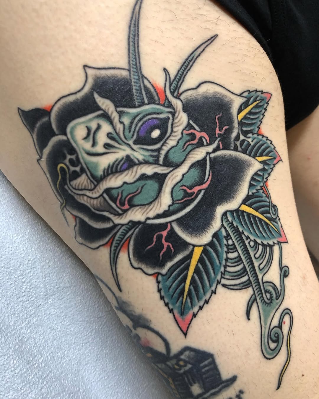 Flower, Rose