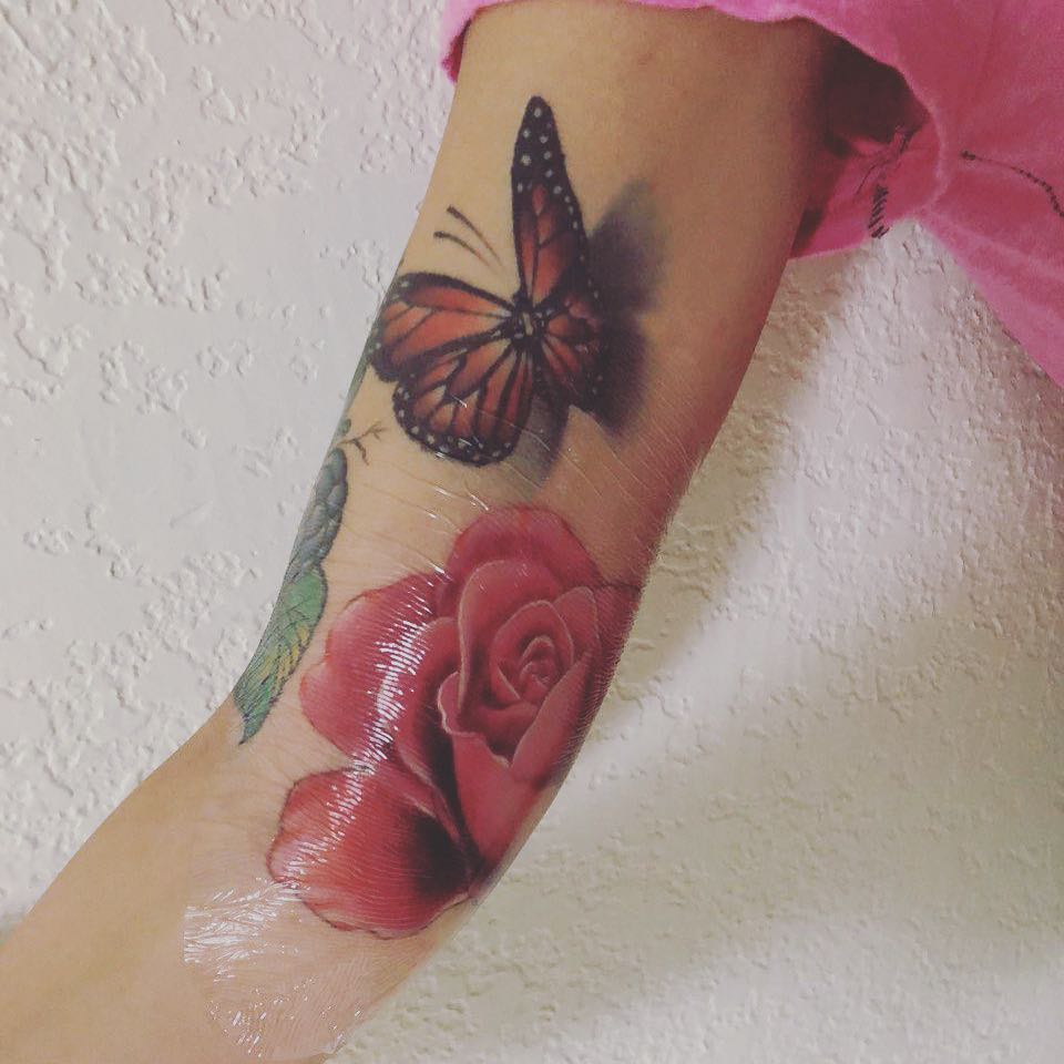 Animal, Nature, Flower