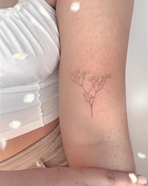 Flower, 체리, 나뭇가지, 올리브 가지