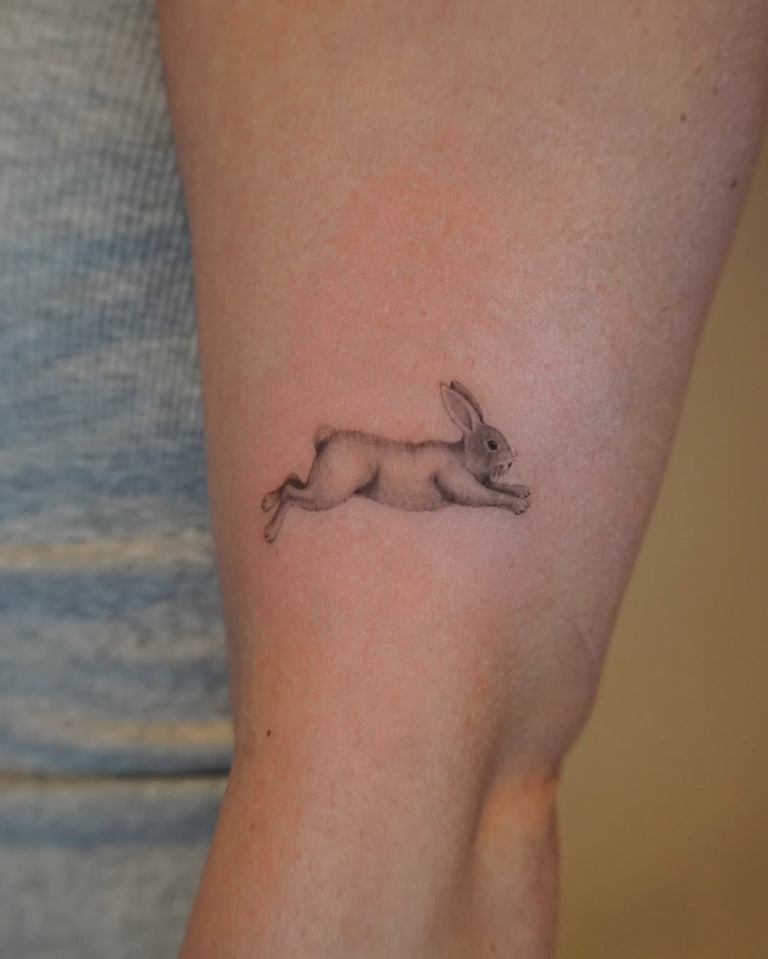 Animal, 사슴, 염소, 양, 멧돼지