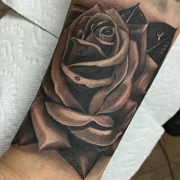 Flower, Rose