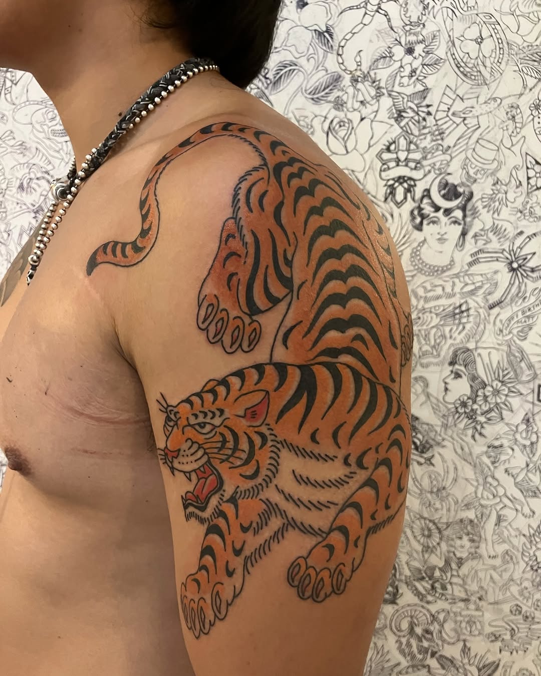 Tiger, 일본 호랑이, 중국 호랑이, 한국 호랑이