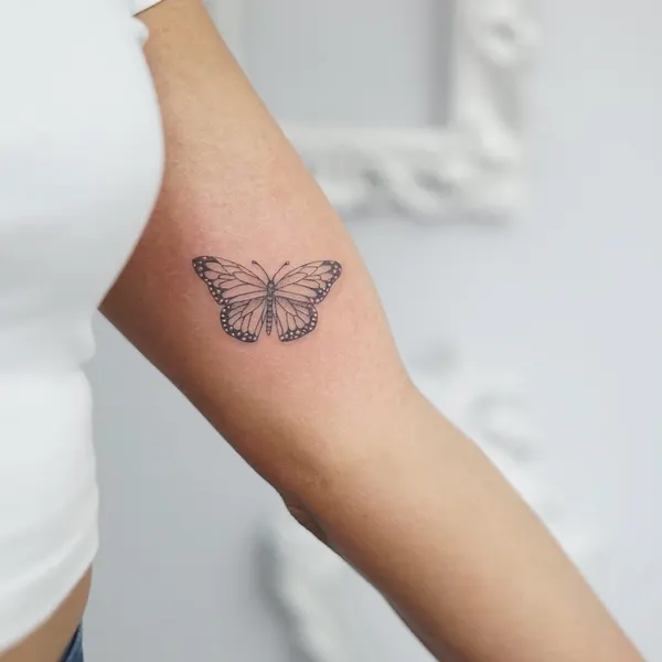 Nature, Animal, 천사, 눈물, 단검, 천사 날개