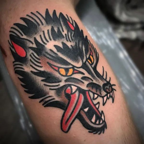 Tiger, Animal