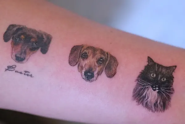 반려동물, 반려동물 추모, 충성