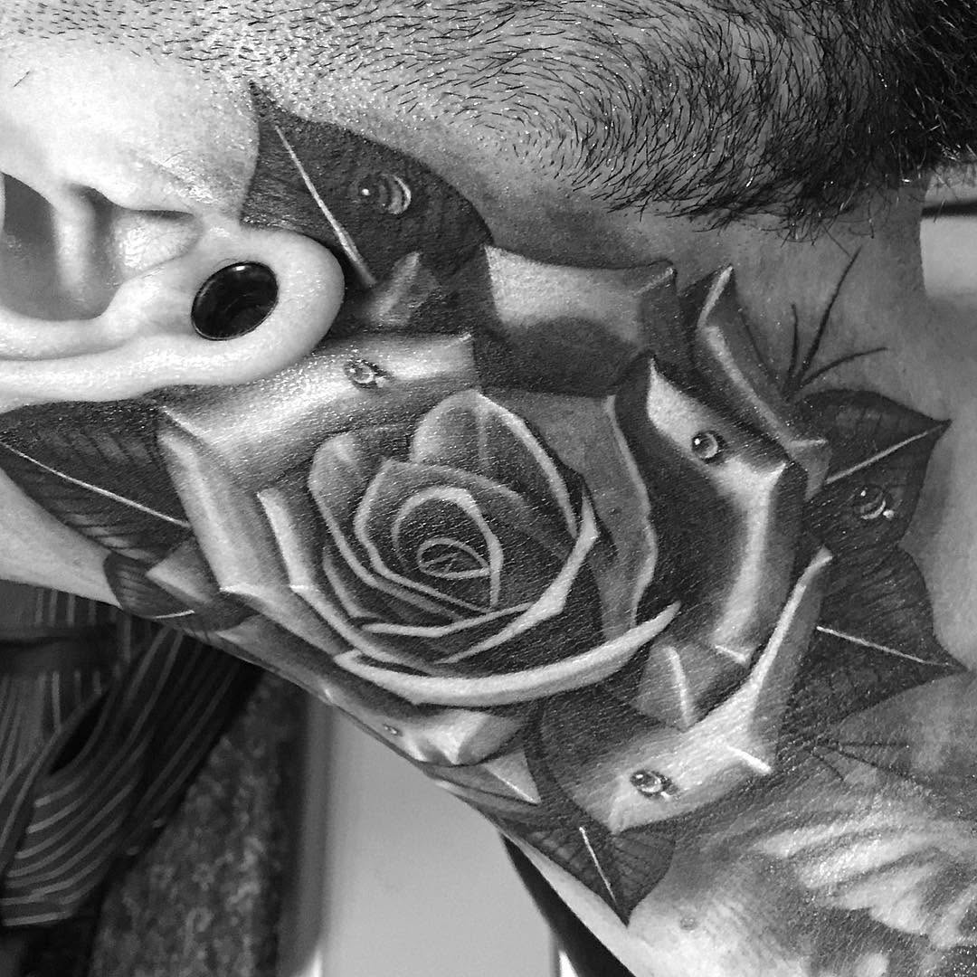 Flower, Rose, Nature