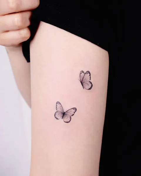 Animal, Nature, 나비