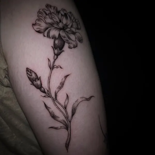 Rose, Flower