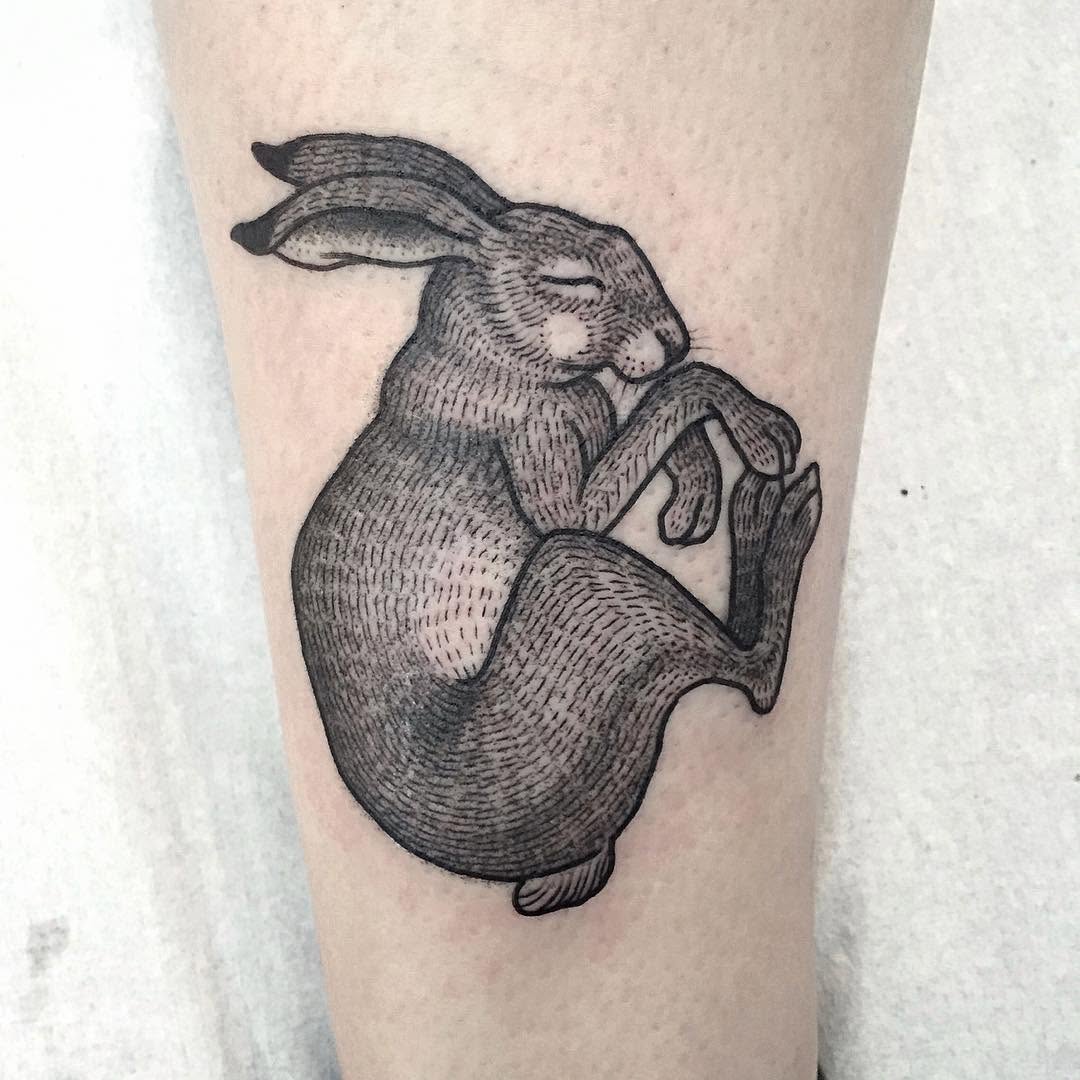 Animal, 토끼