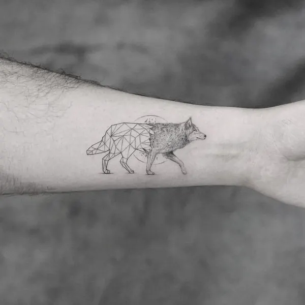 양, Animal, 돼지, 멧돼지