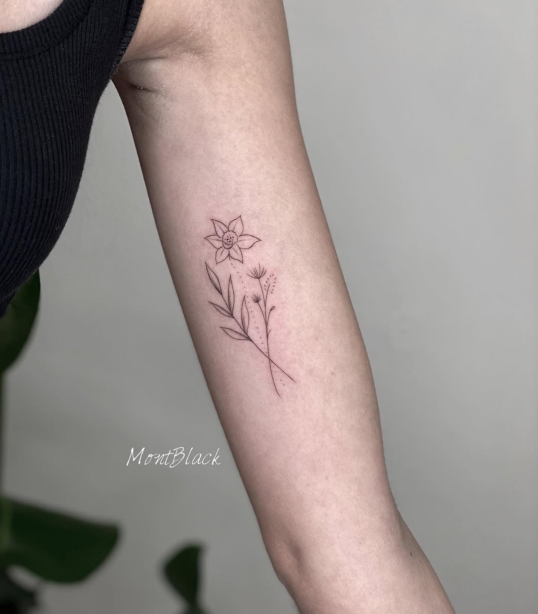 Flower, Rose, 덩굴, 나뭇가지