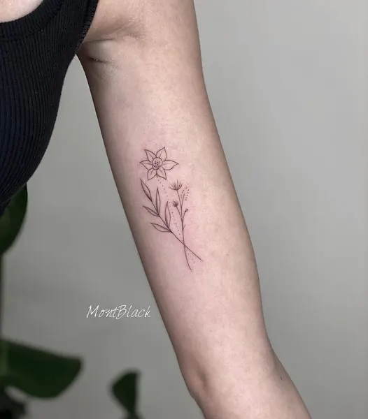 Flower, Rose, 덩굴, 나뭇가지
