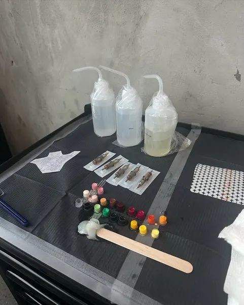 caotida